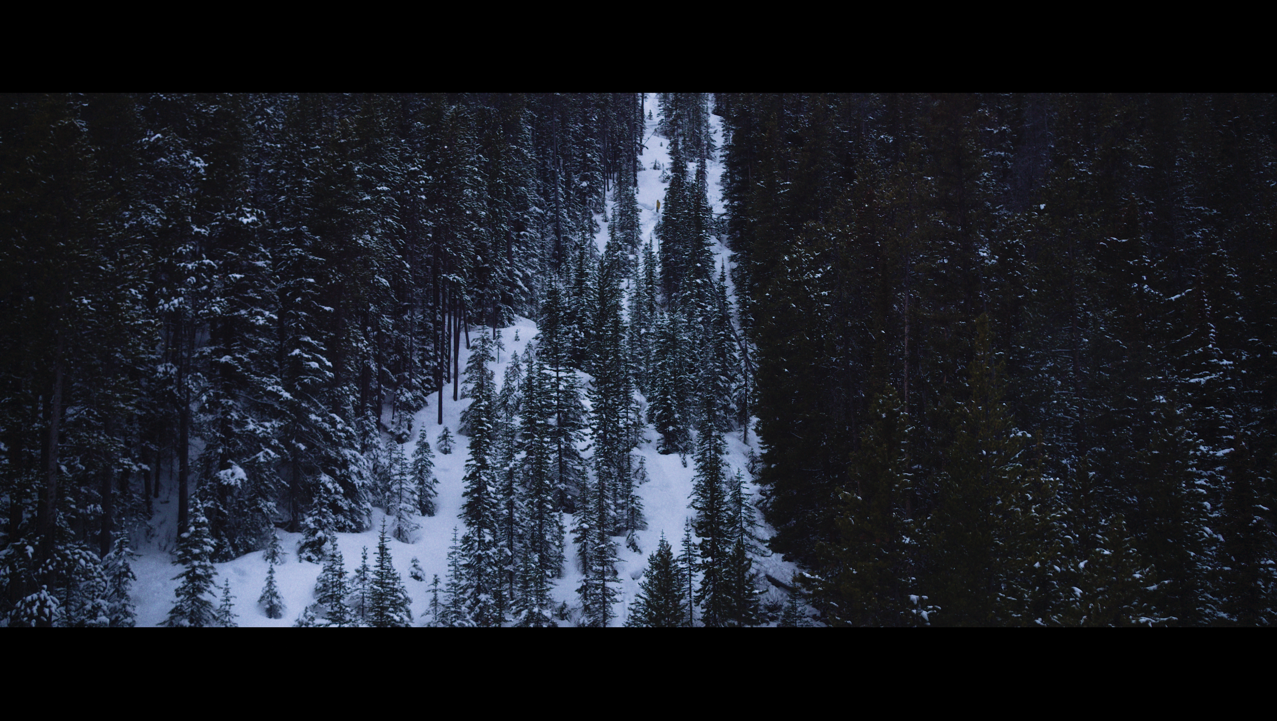 Films_for_web_Banff_Alberta24_export 2_2025-04-22_13.28.33