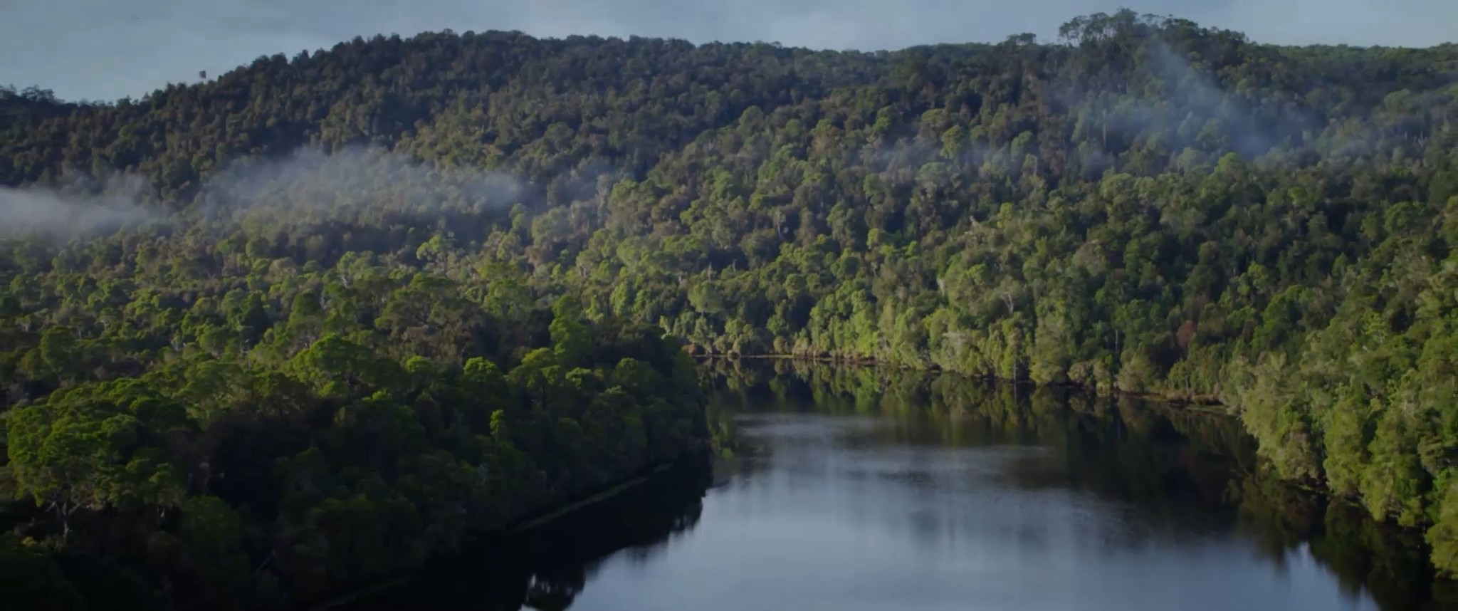 Films_for_web_Life to Ashes_Espa�ol_stereo_mi_2025-04-22_15.15.05