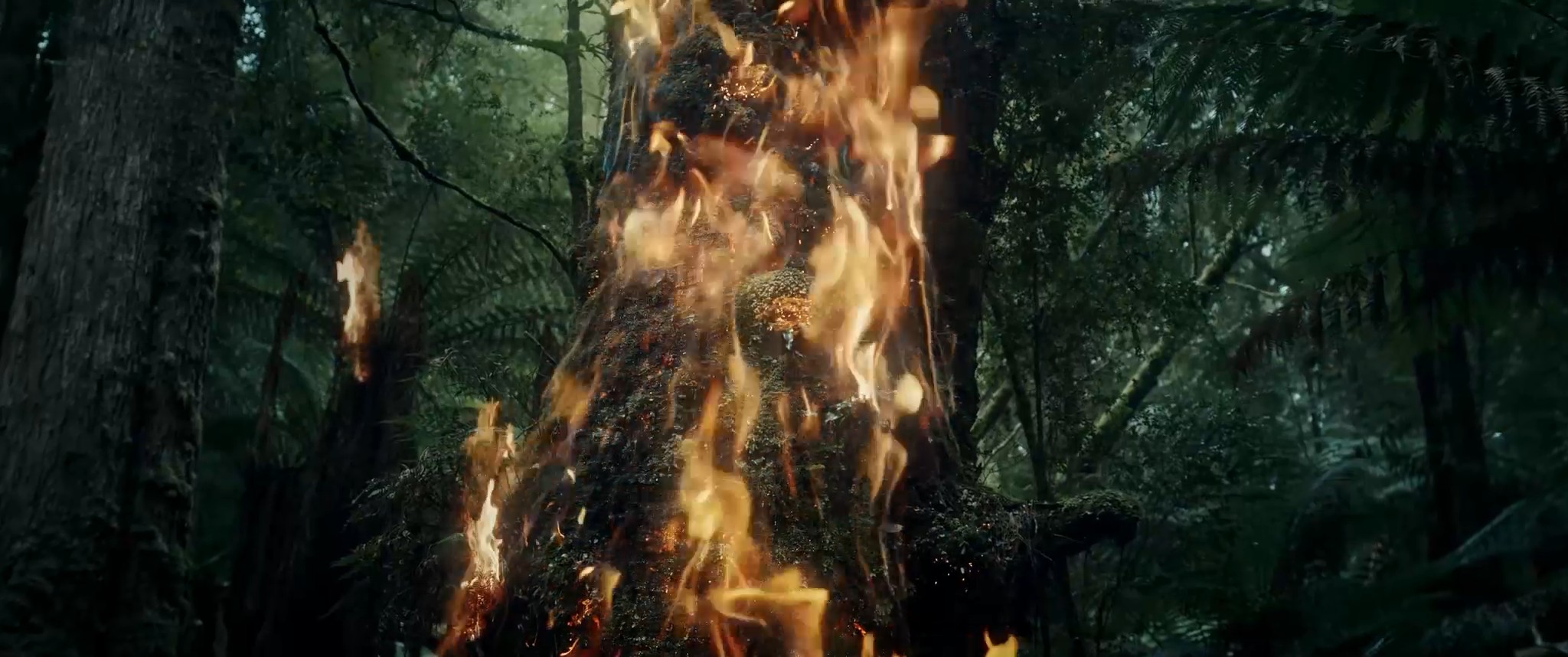 Films_for_web_Life to Ashes_Espa�ol_stereo_mi_2025-04-22_15.15.56